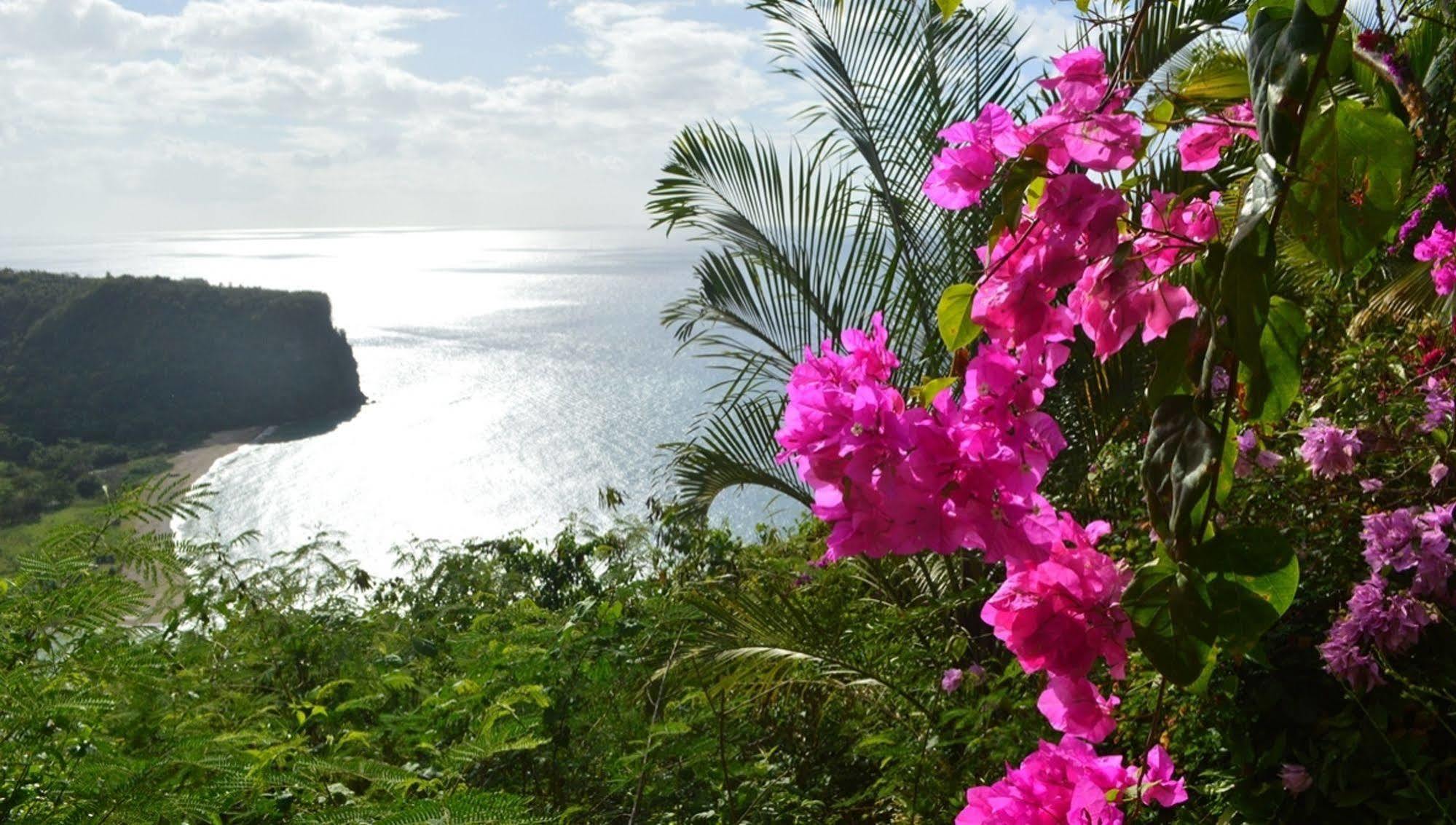 לינה וארוחת בוקר מפרץ מריגוט Nature'S Paradise מראה חיצוני תמונה